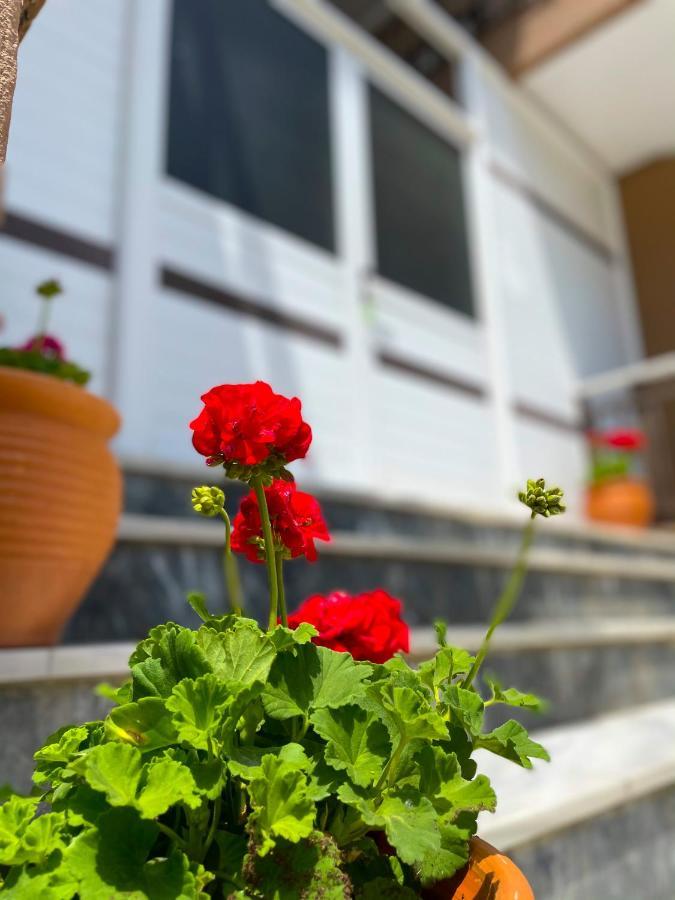 Thealos Inn Nea Vrasna Luaran gambar